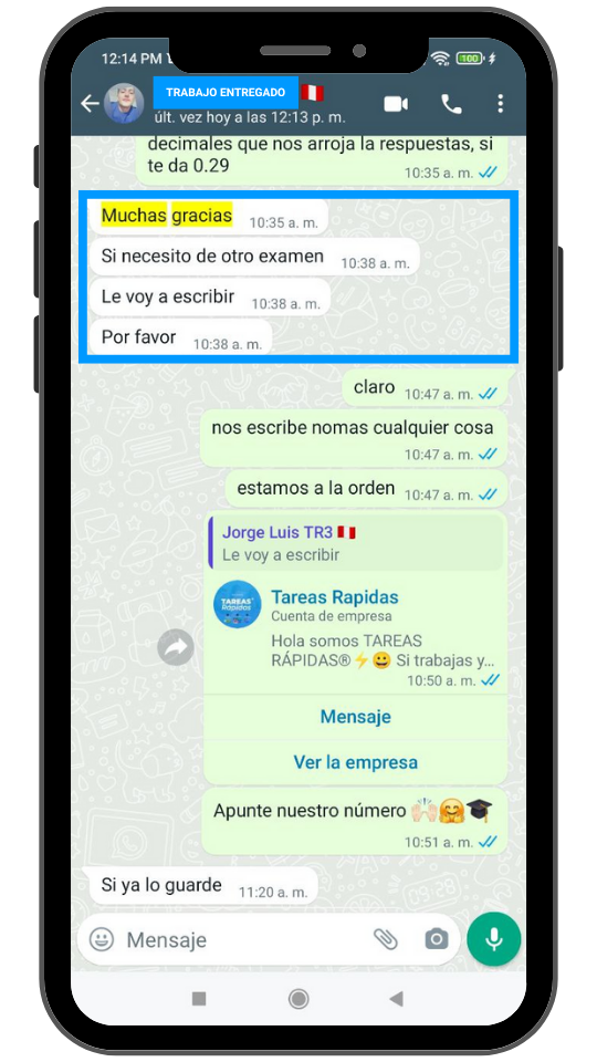 Cliente satisfecho — tarea entregada sin errores y a tiempo — Tareas Rápidas.