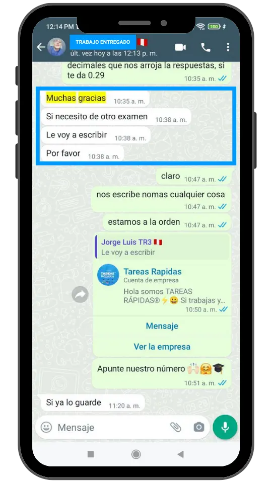 cliente-envia-pago-y-recibe-ensayo-universitario-tareas-rapidas